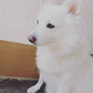 Meet your Posher, Rupa